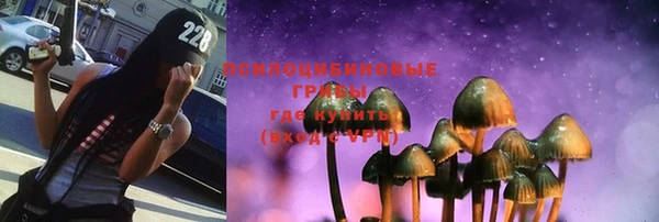 бошки Горняк