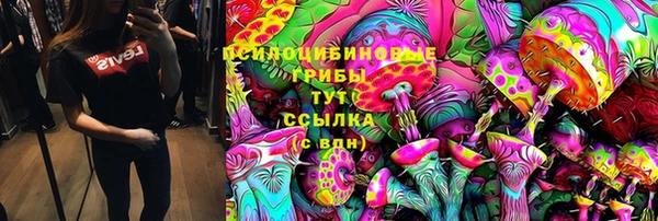 сатива Горно-Алтайск