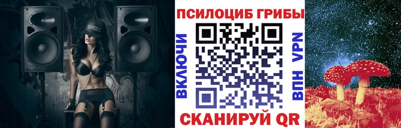 гидра tor  где можно купить наркотик  Анадырь  Псилоцибиновые грибы MAGIC MUSHROOMS 